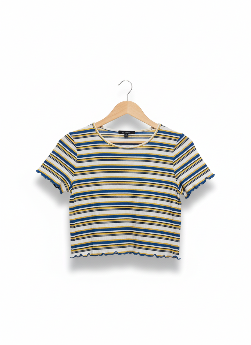 AMBIANCE Multi Striped Regular Fit Top