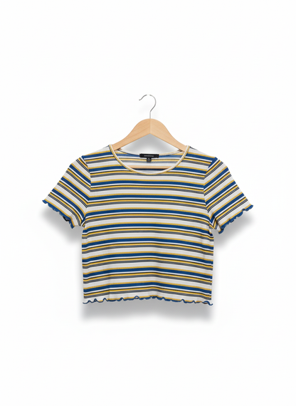 AMBIANCE Multi Striped Regular Fit Top