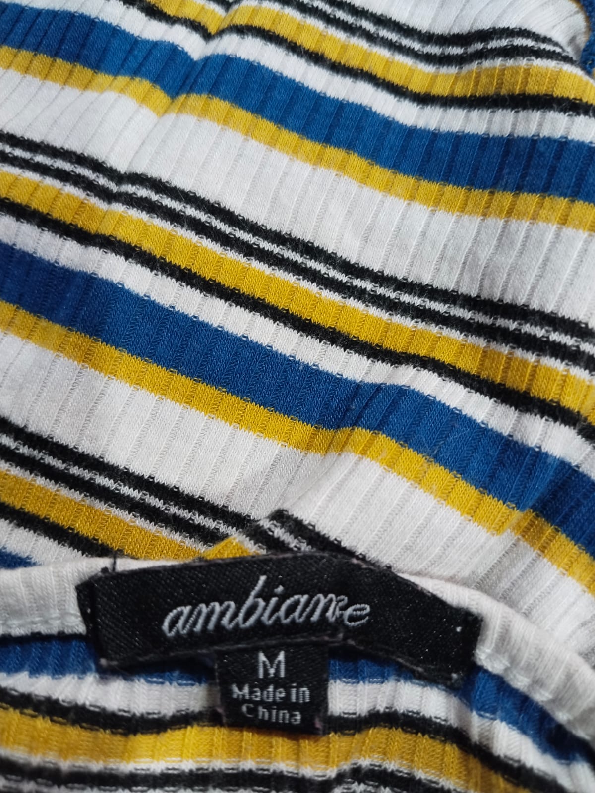 AMBIANCE Multi Striped Regular Fit Top