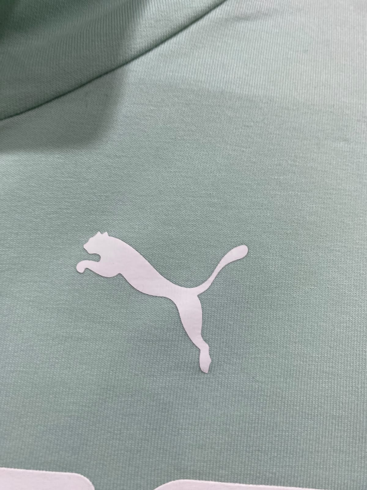 PUMA |M| BUST 23| A65| MINT GREEN LOGO-BRANDED CROPPED TECHNICAL UTILITY HOODIE